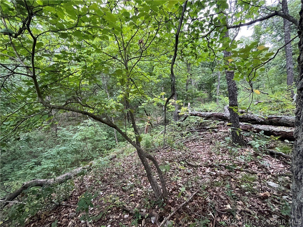Picture 21