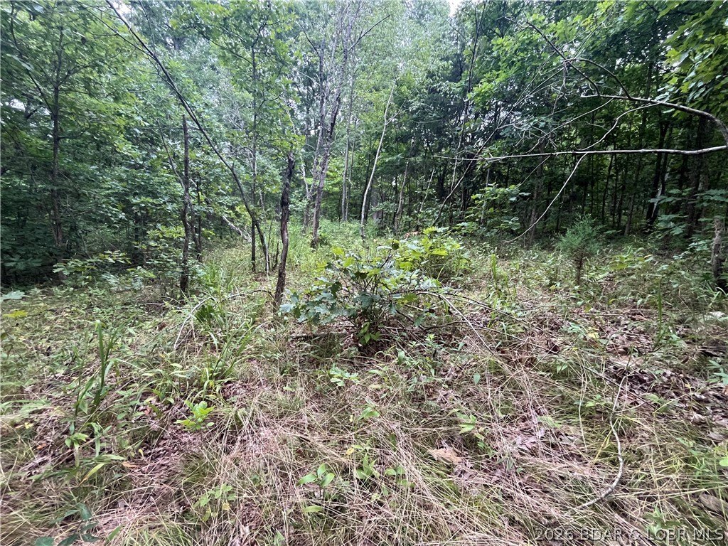 Picture 6