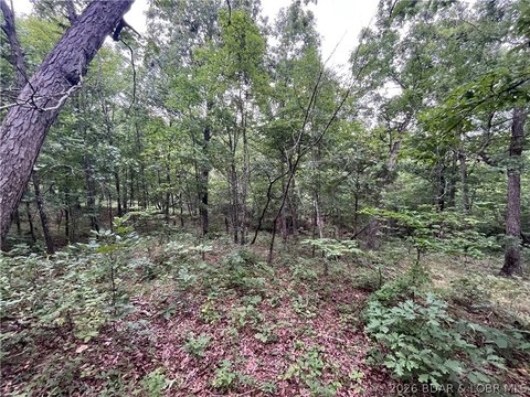 LAND - Climax Springs, MO