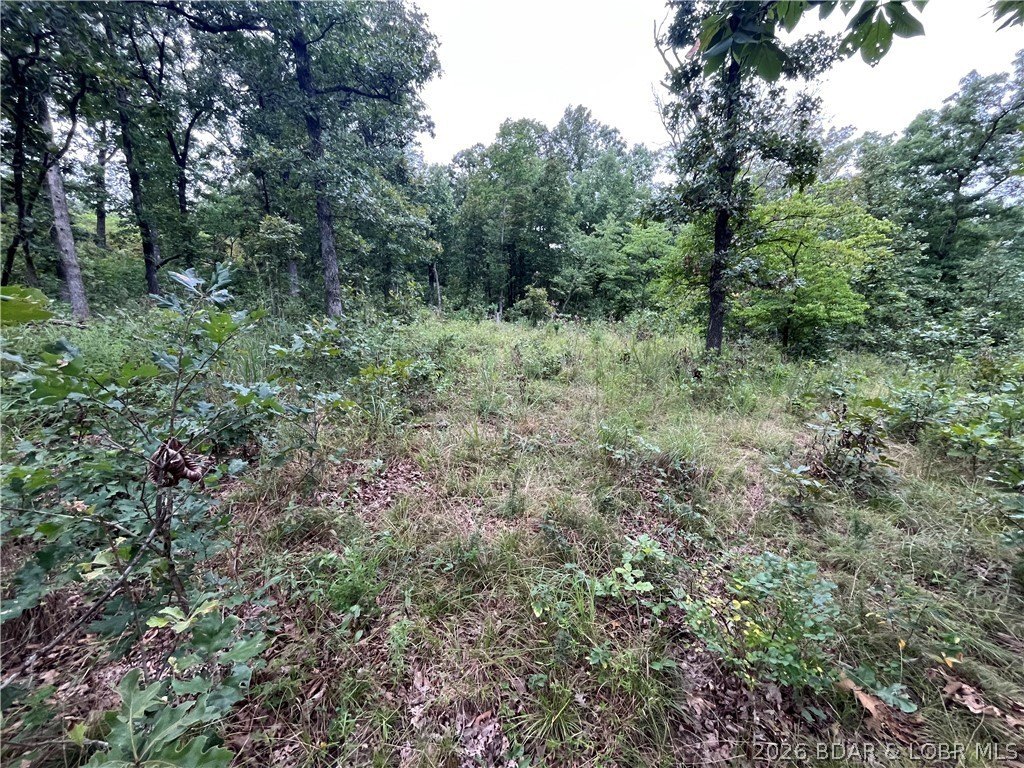 Picture 26