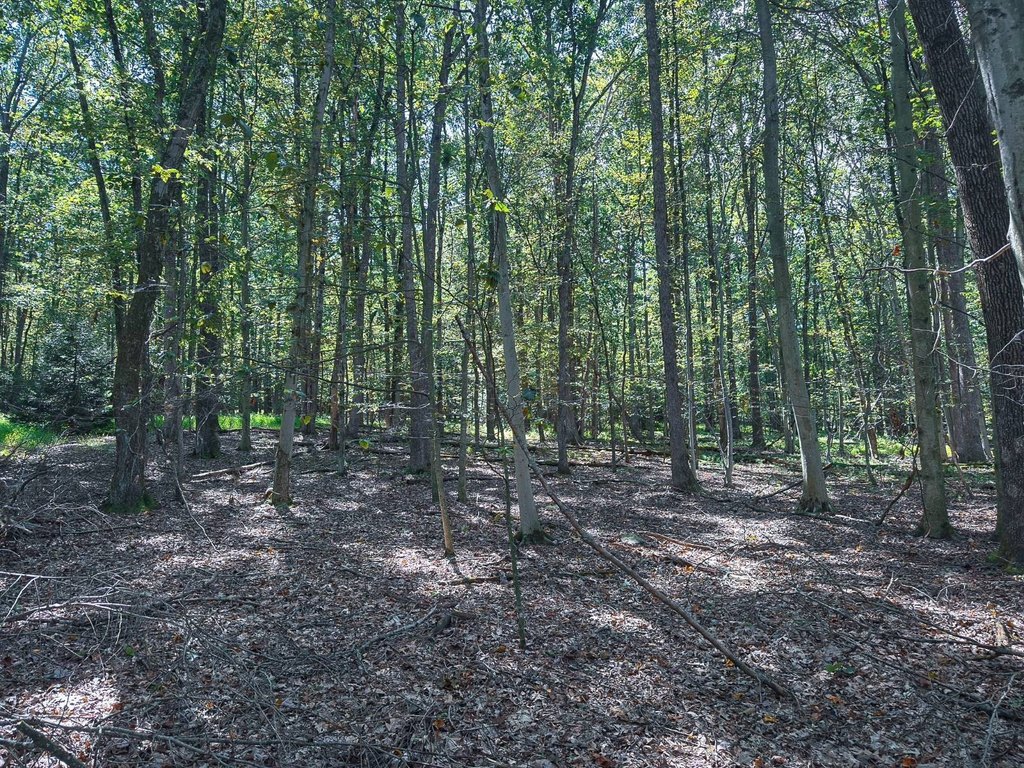 Picture 22