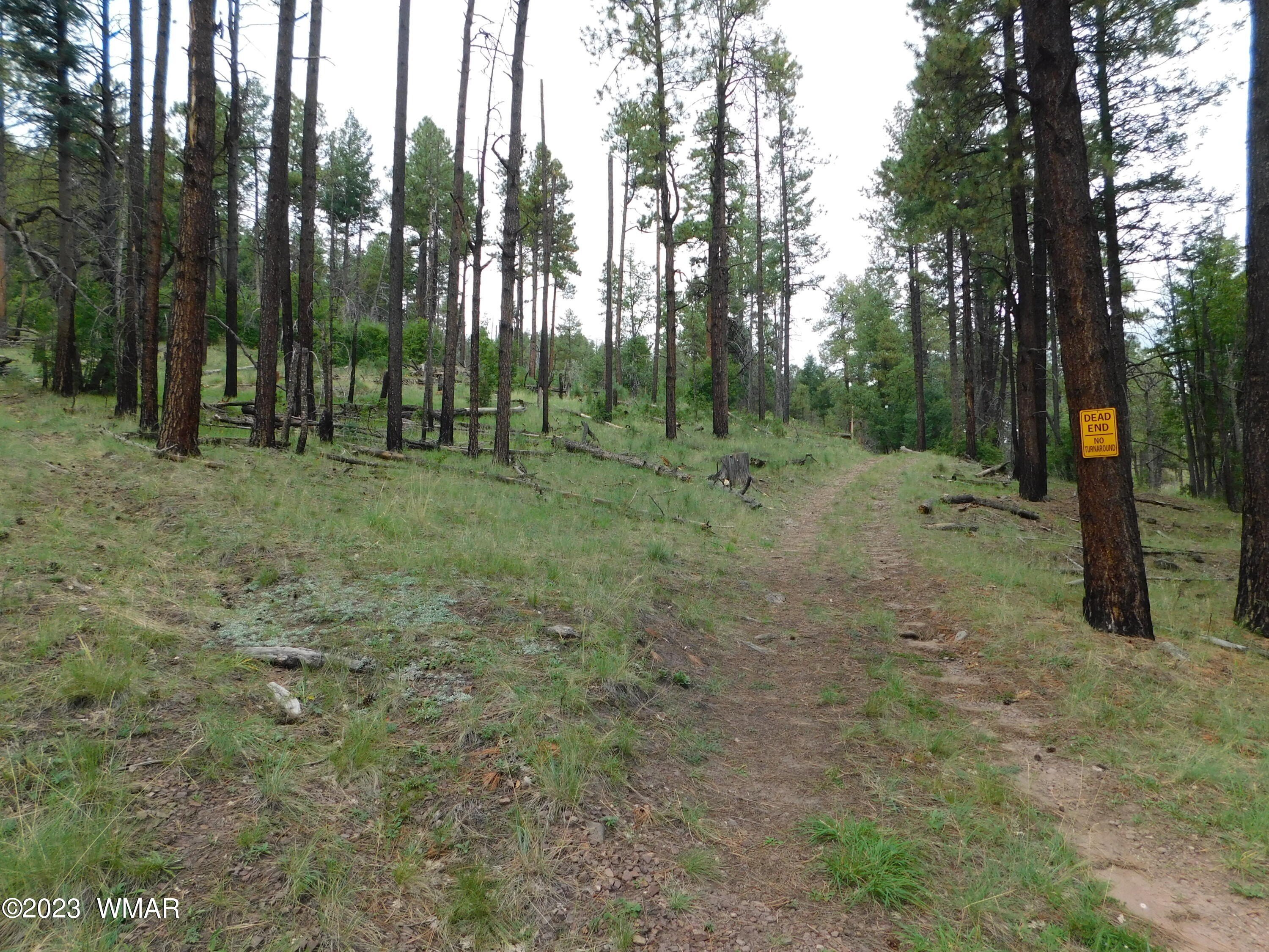 Land in Tall Pines, Alpine