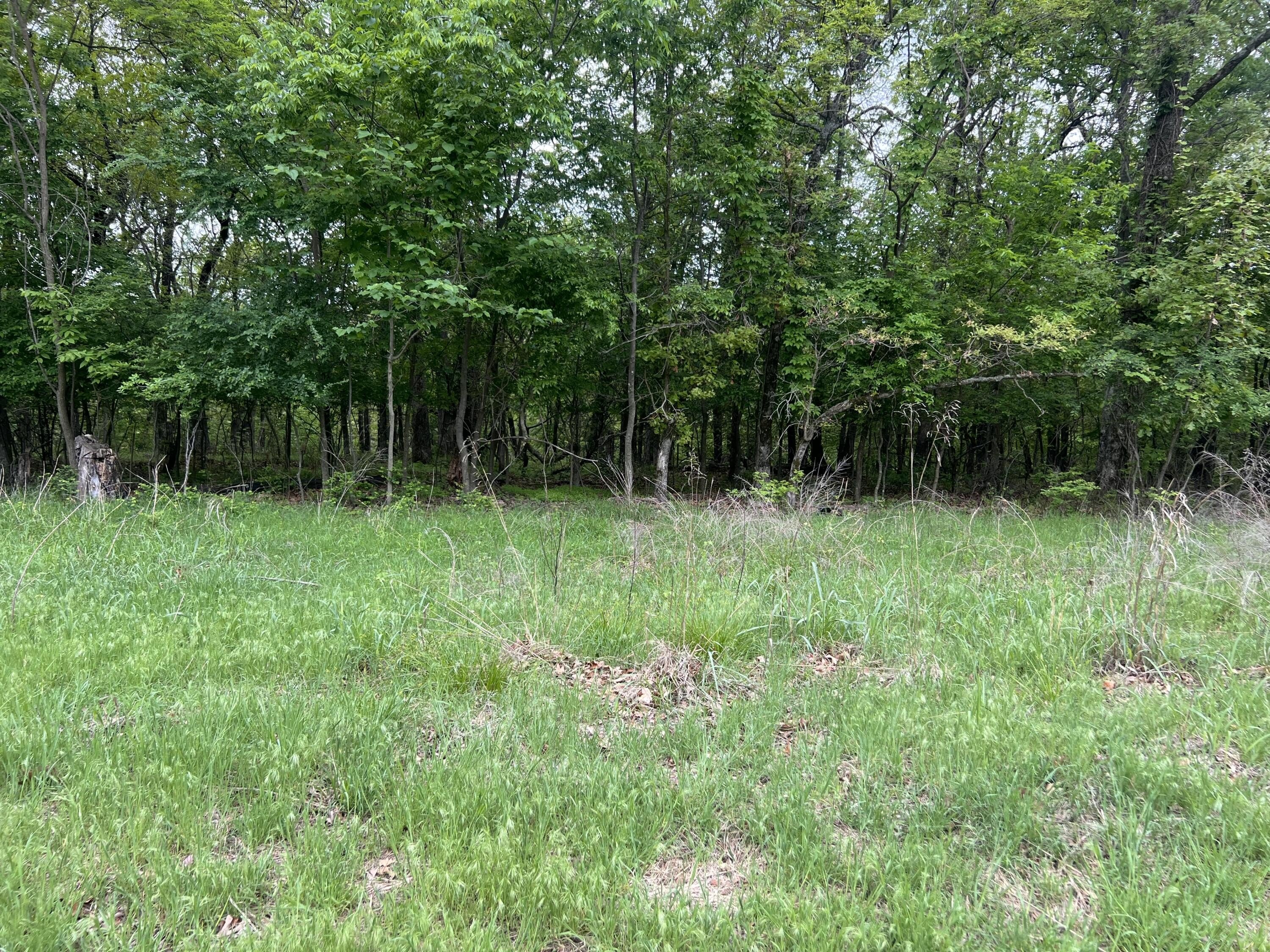 Land Near Dripping Springs Marina