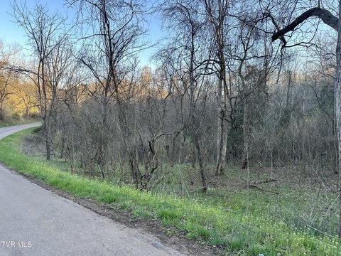 189 Acres of Hunting Land