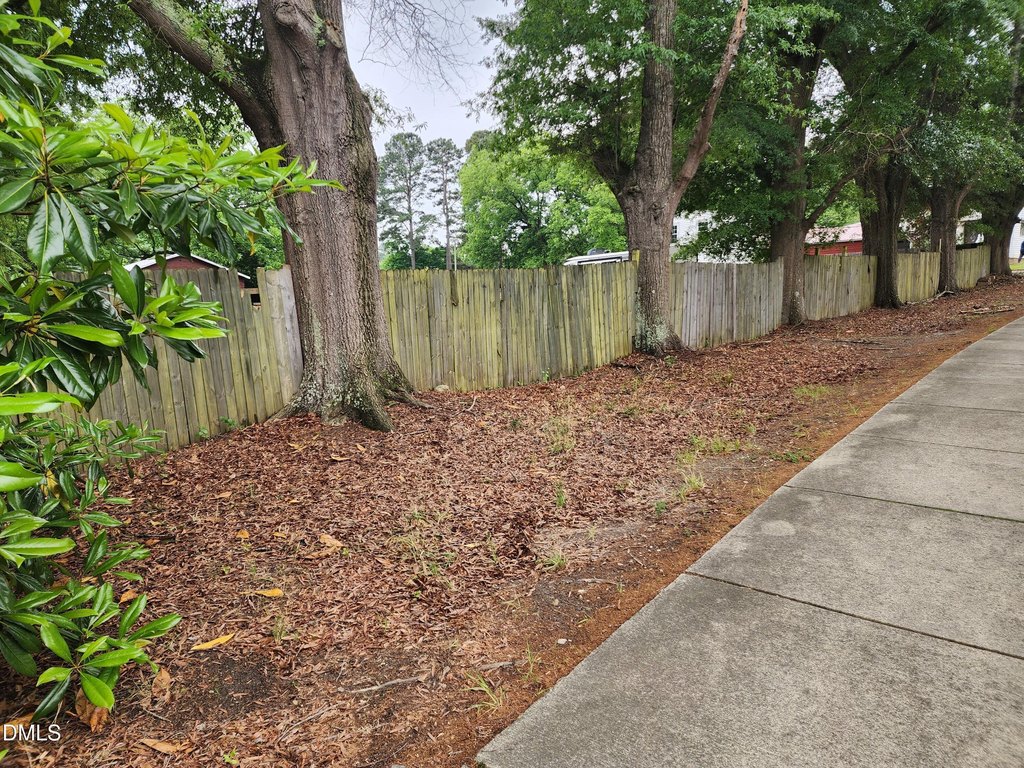 Picture 15