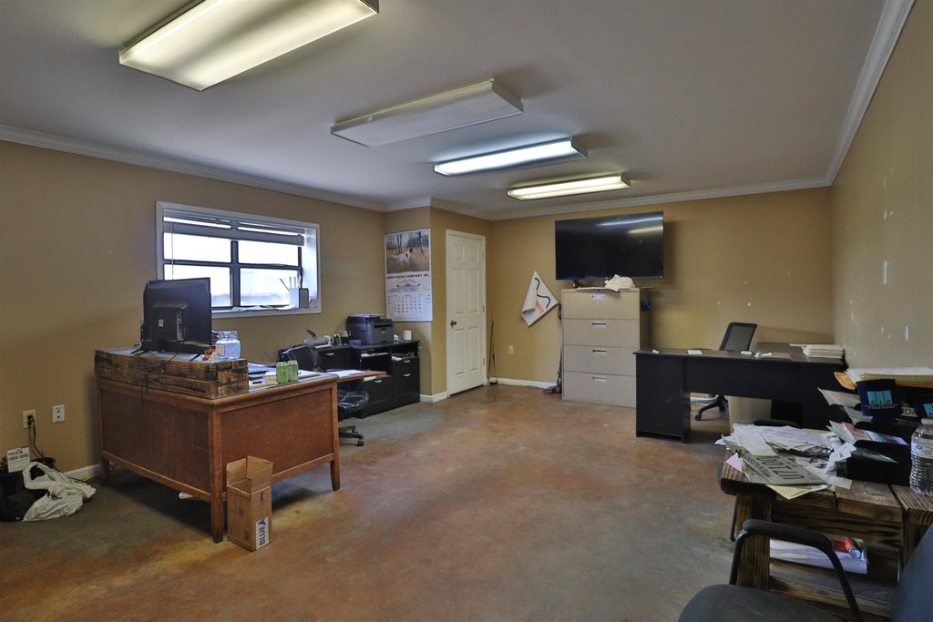 Picture 23