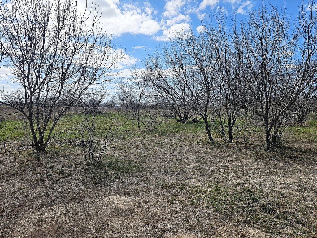 Picture 8