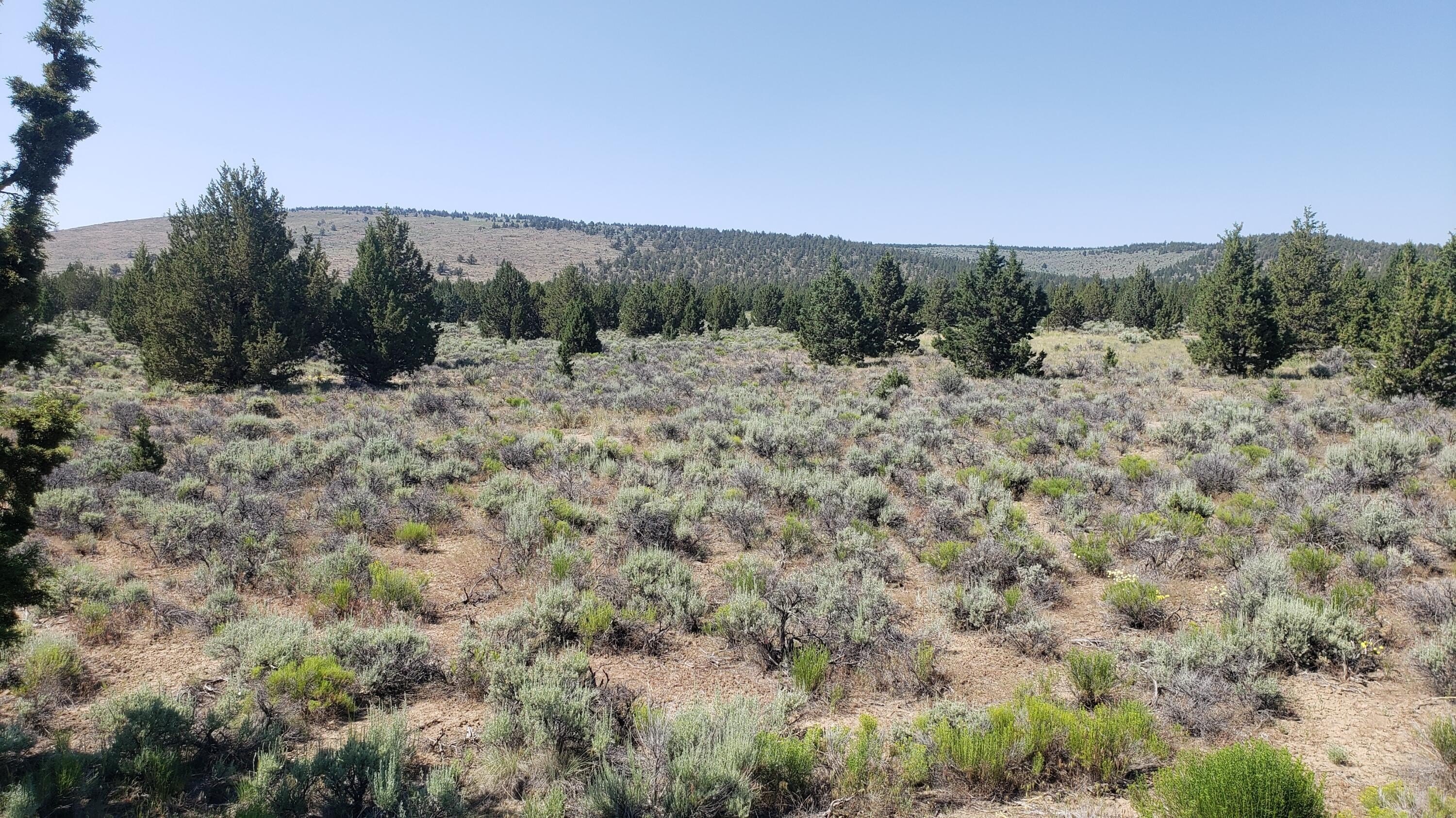 Large Recreational Land Parcel