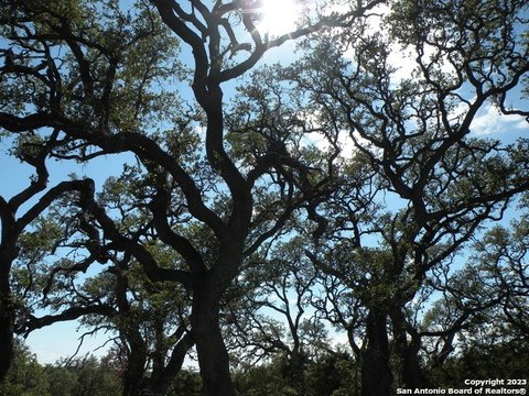 LAND - Bulverde, TX