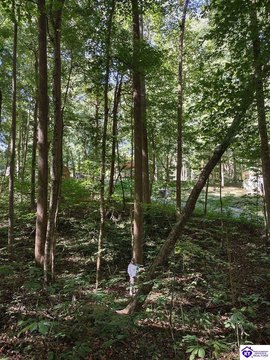 Lots and Land, Scottsville, KY