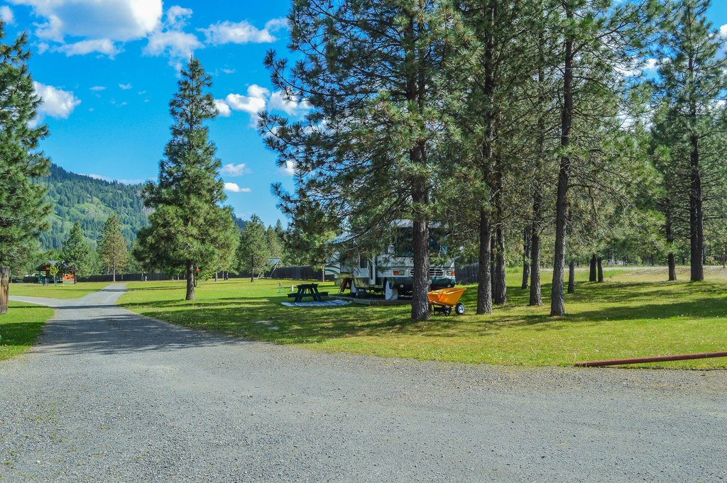 Picture 9