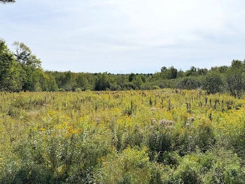 94 Acres of Rural Land