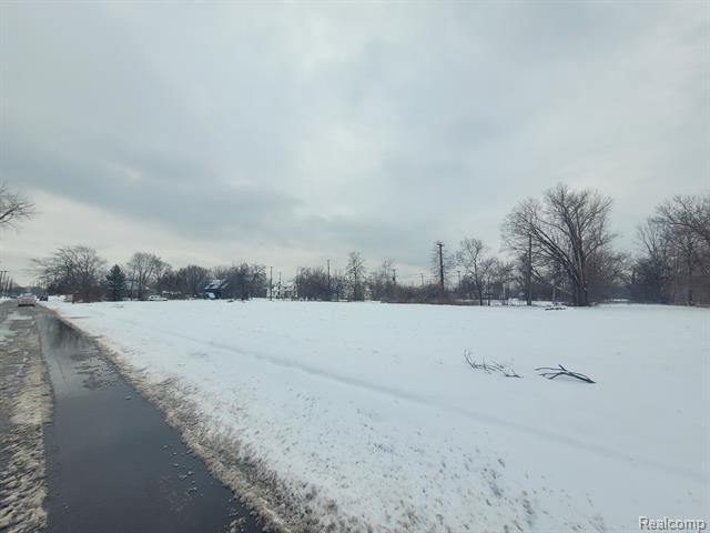 Picture 3