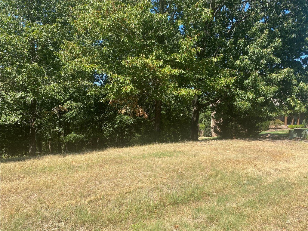 Picture 3
