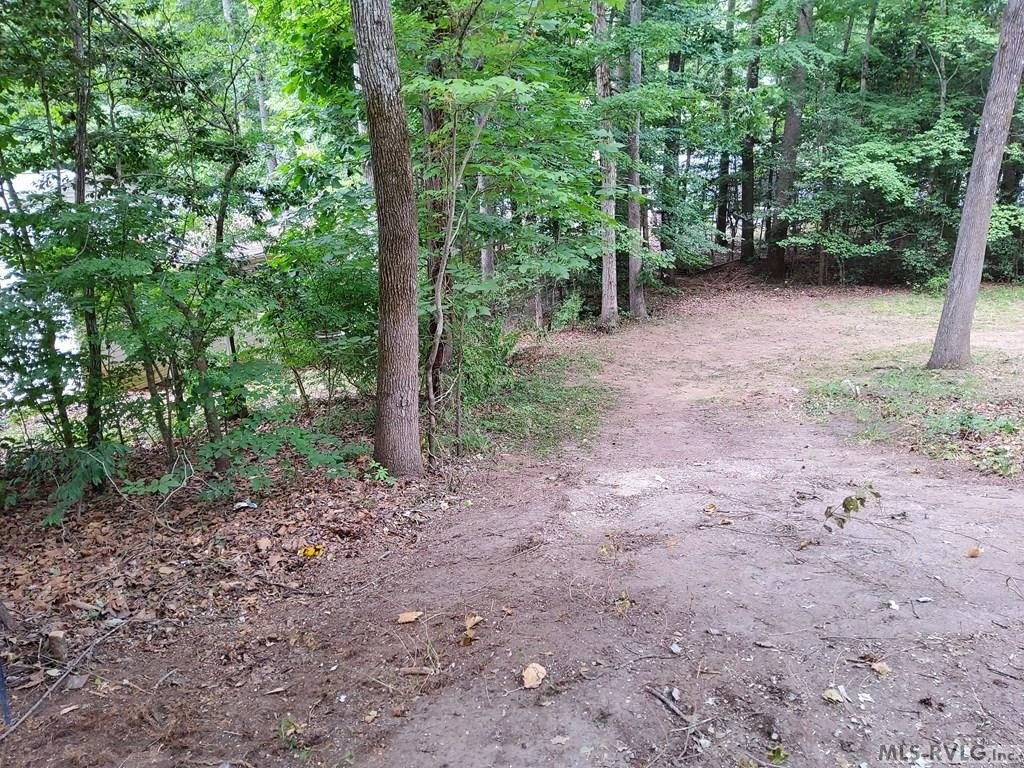 Picture 3