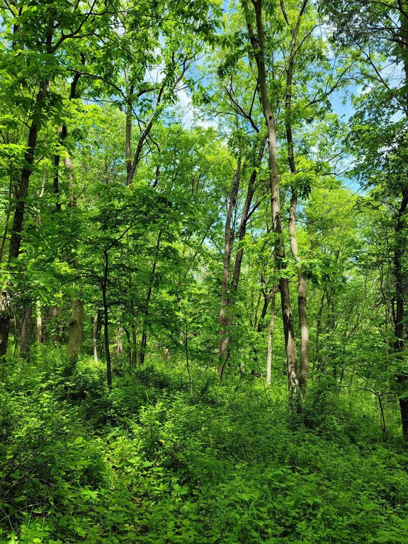 Picture 8