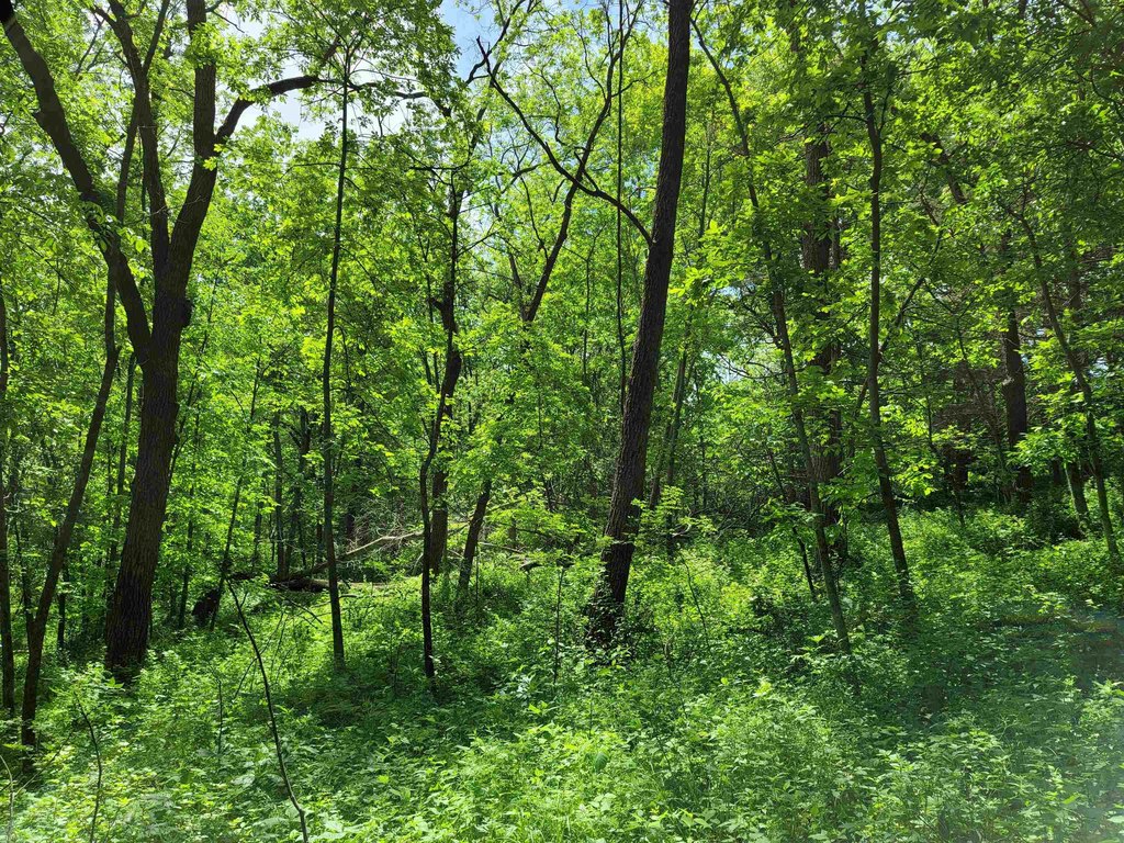 Picture 6