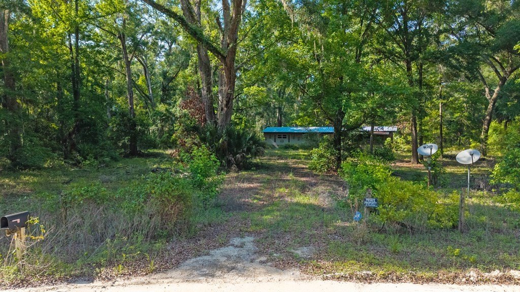 Picture 9