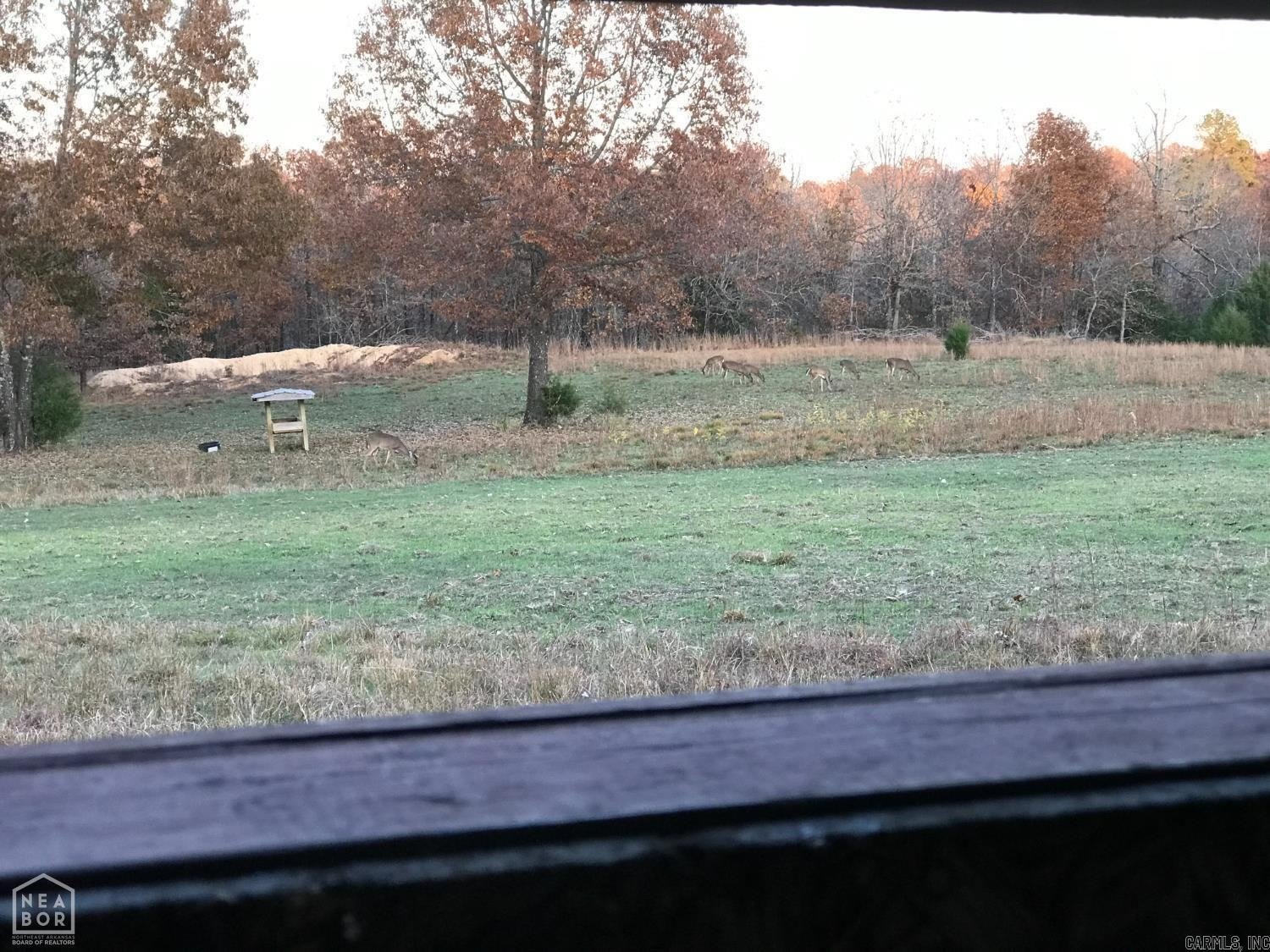 67 Acres of Wildlife-Rich Land