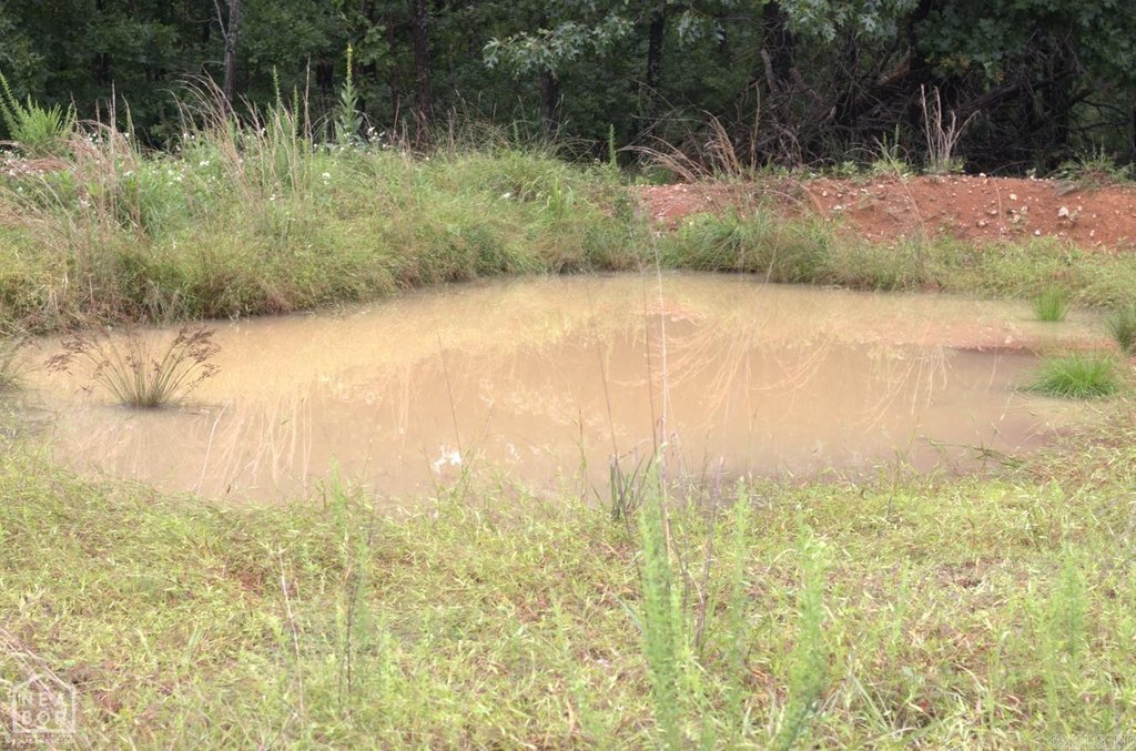 Picture 11