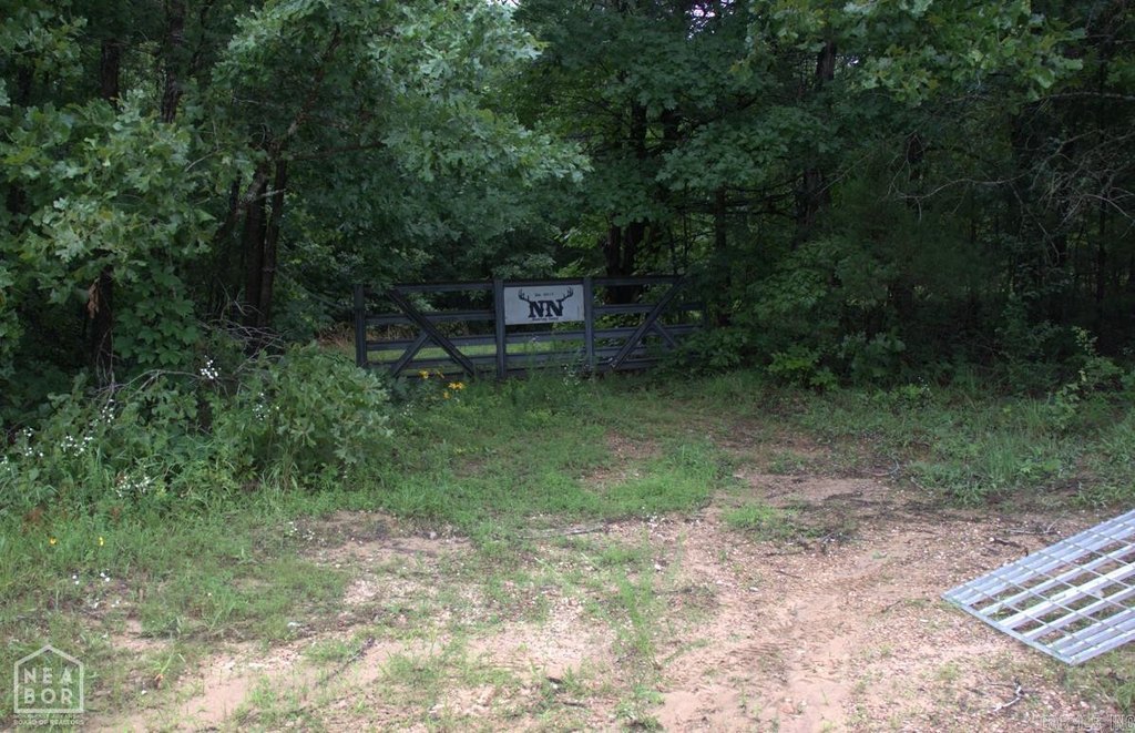 Picture 2