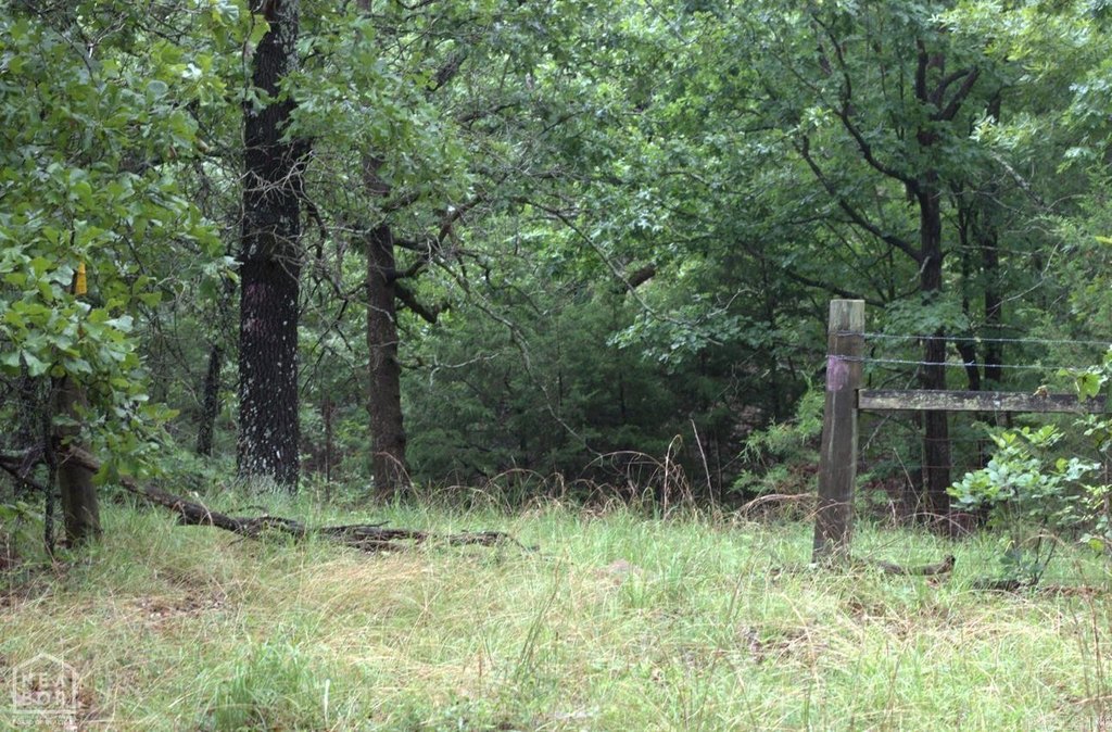 Picture 7