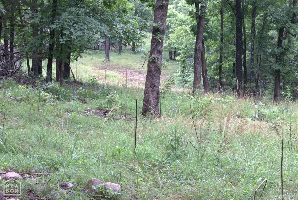 Picture 5