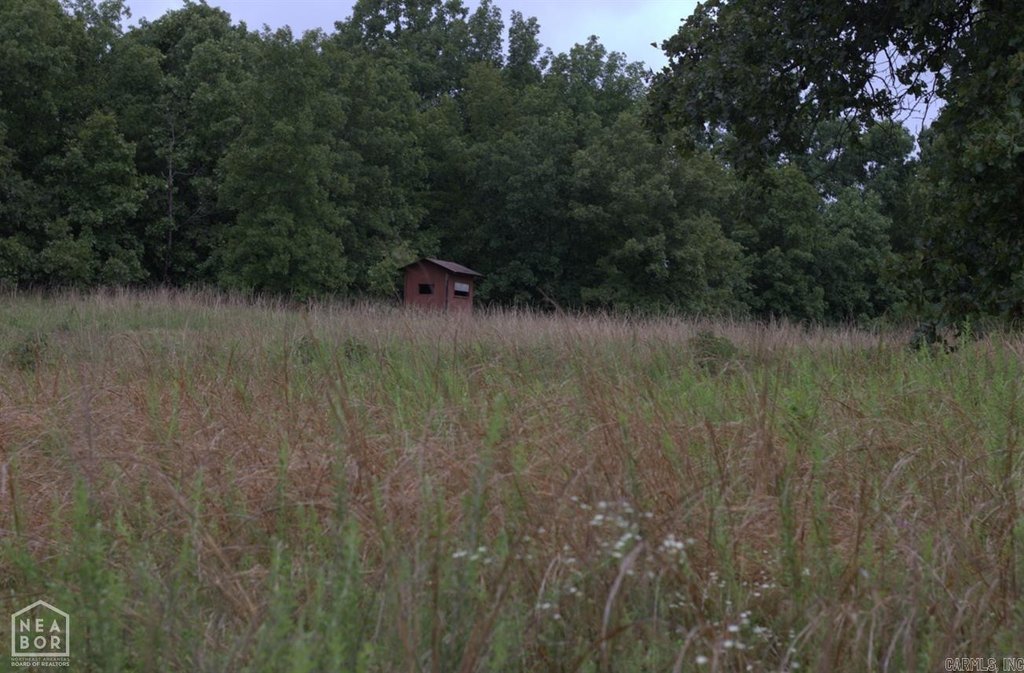 Picture 8