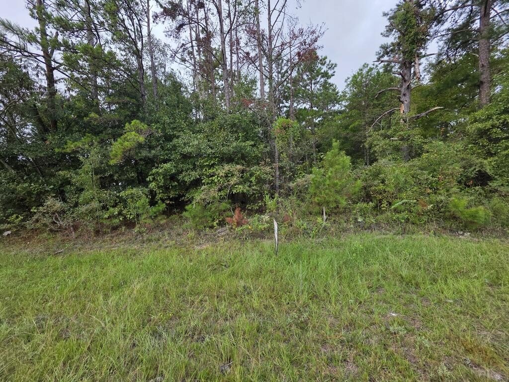 Picture 3