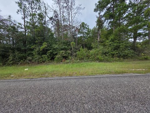 Land, Georgetown, GA