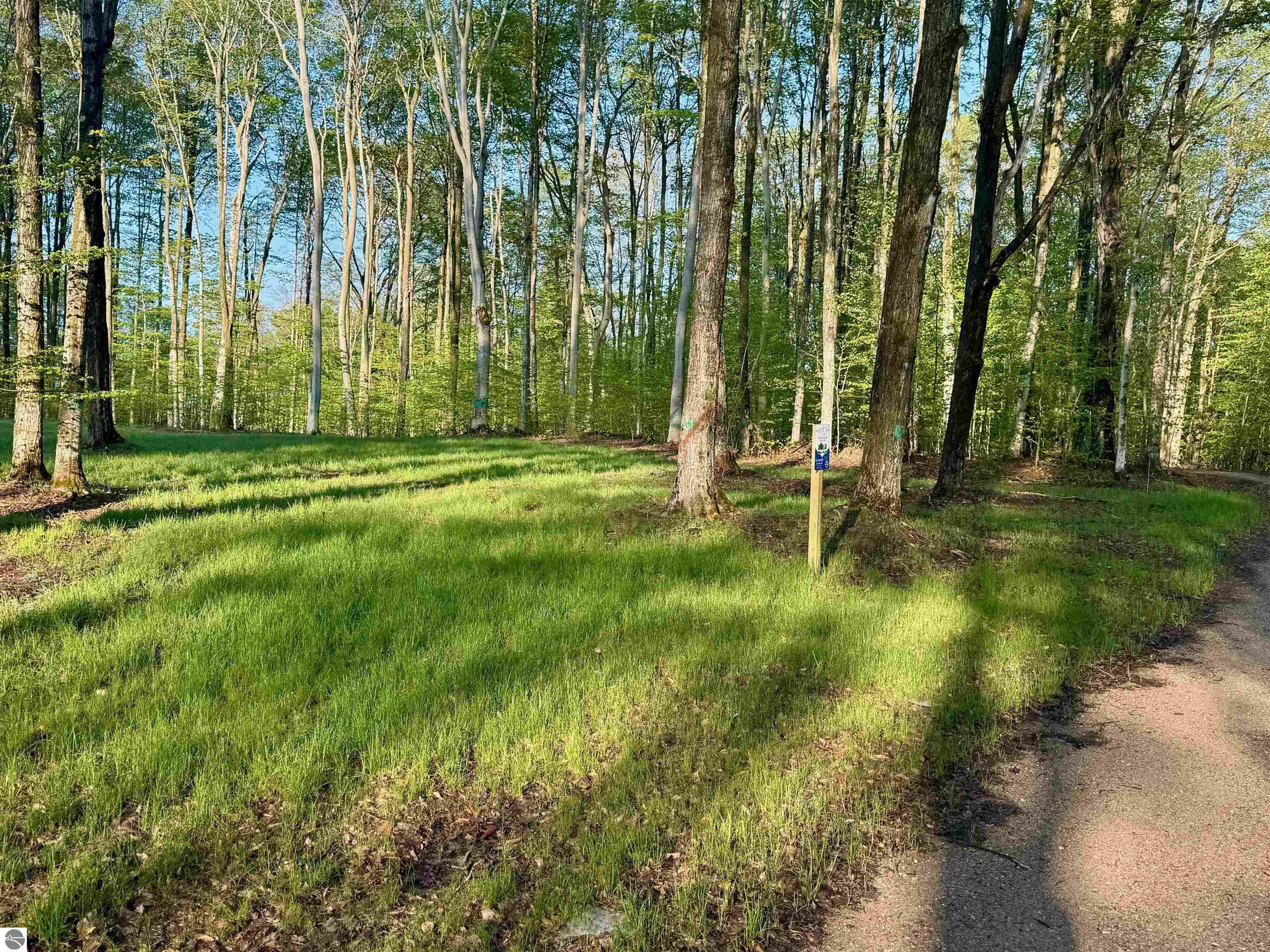 Secluded Wooded Lot Near Traverse