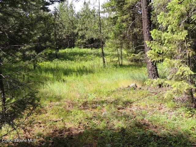 Level 5 Acres Near Spirit Lake