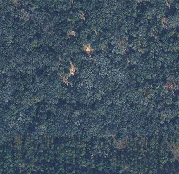 Inverness Vacant Land Opportunity
