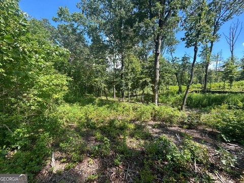 Picture of Land at Sardis Rd 908, Canton, GA