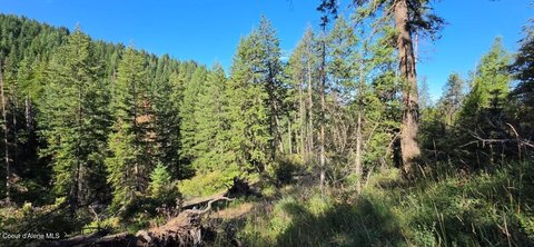 LAND - Coeur d'Alene, ID