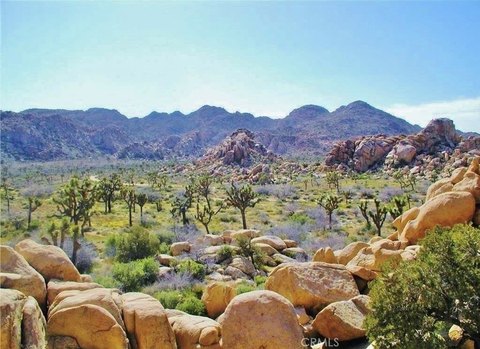 Joshua Tree Land with Views
