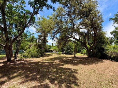 LAND - BRONSON, FL