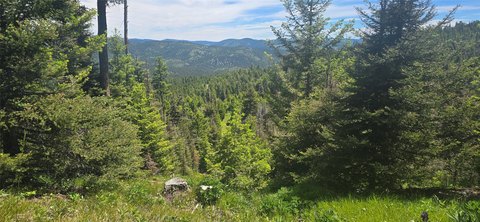 Agricultural Recreation Land Tract