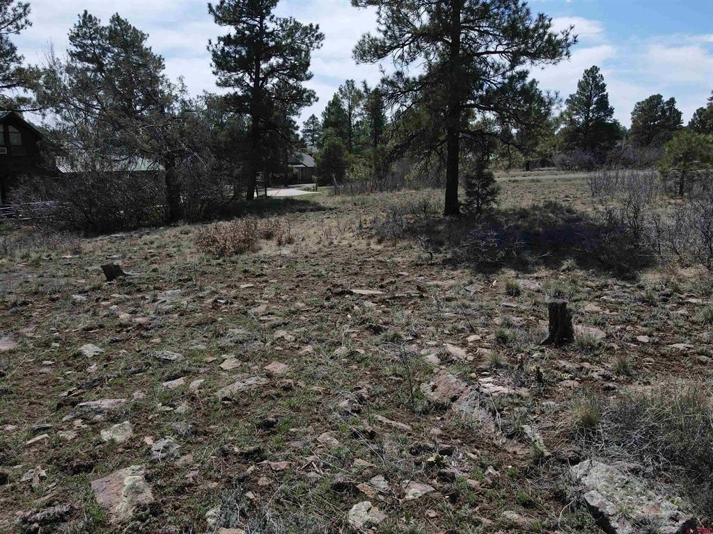 Picture 24