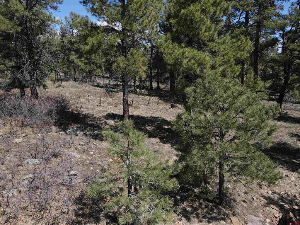 Picture 19