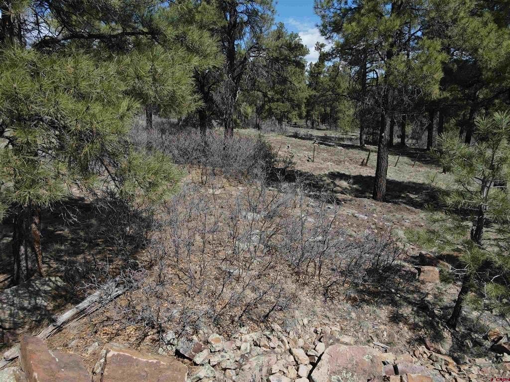 Picture 21