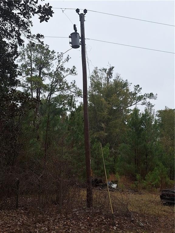 Picture 5