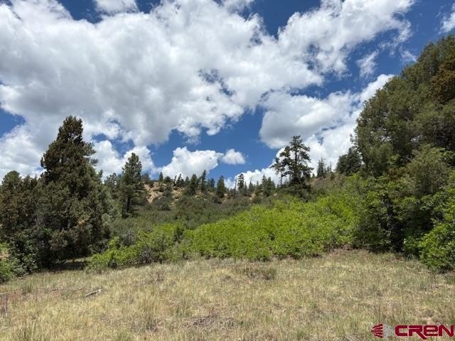 Picture 29