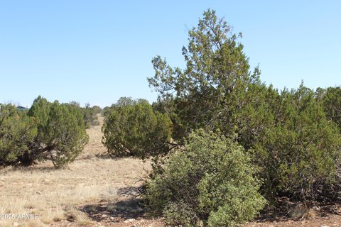 Heber, AZ 10-Acre Land Parcel