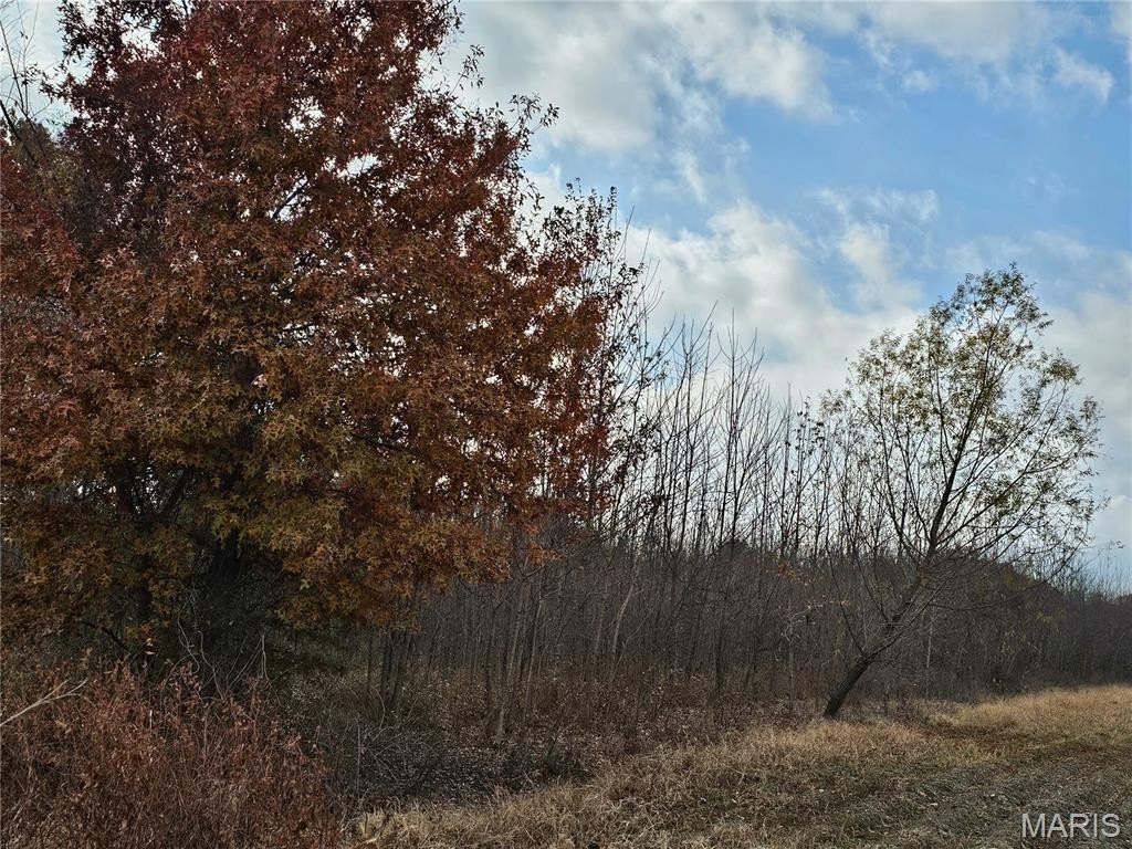 Picture 2