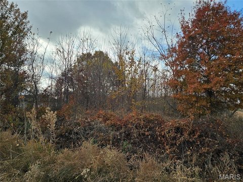 Agricultural Land Parcel