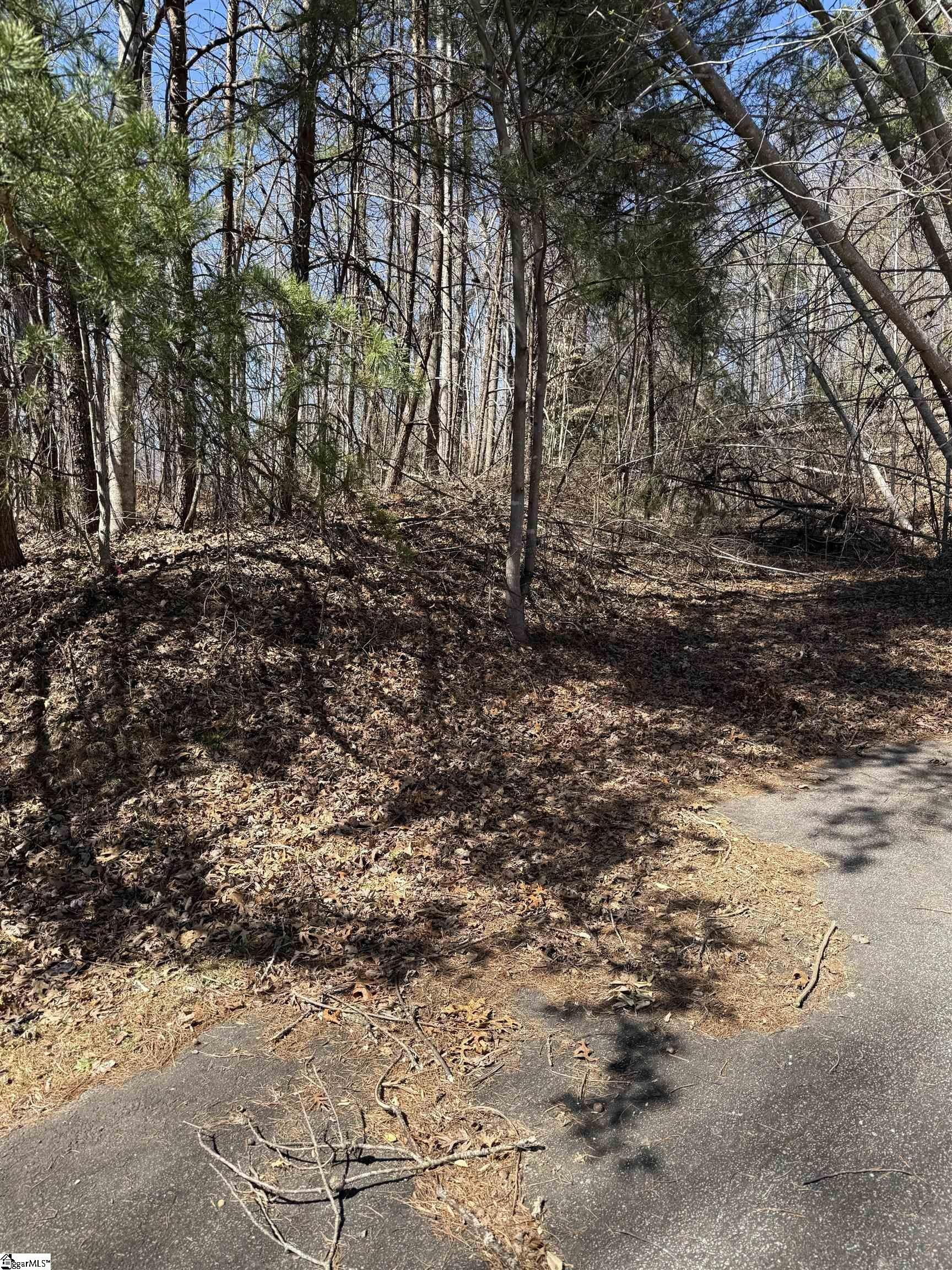 Secluded Lot in Cliffs Valley