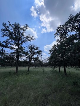 LAND - Fredericksburg, TX