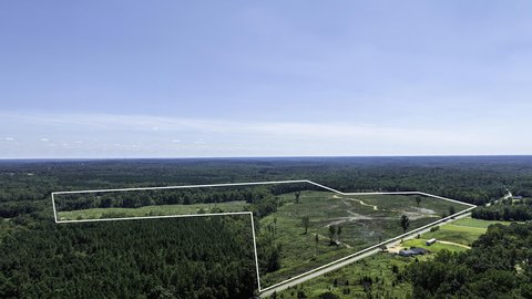 121.25 Acres in Gray Court