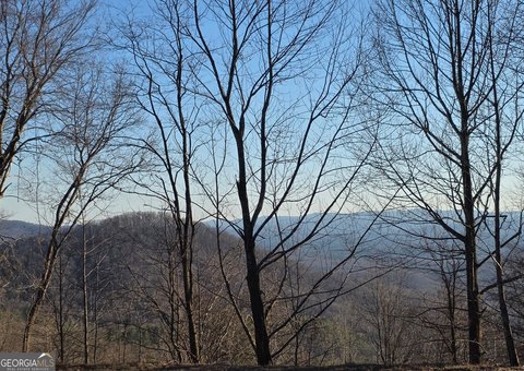 Ellijay Land with Mountain Views